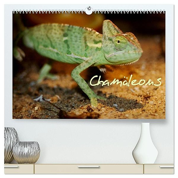 Chamäleons (hochwertiger Premium Wandkalender 2024 DIN A2 quer), Kunstdruck in Hochglanz, Chawera