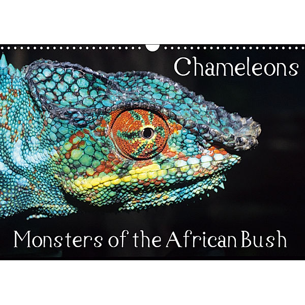 Chameleons Monsters of the African Bush (Wall Calendar 2019 DIN A3 Landscape), Chris Hellier