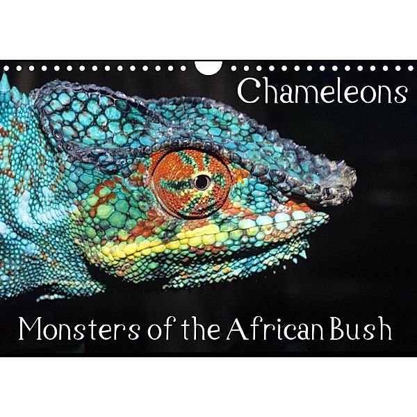 Chameleons Monsters of the African Bush (Wall Calendar 2023 DIN A4 Landscape), Chris Hellier