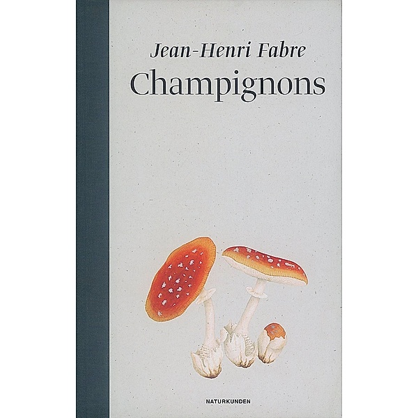 Champignons, Jean-Henri Fabre