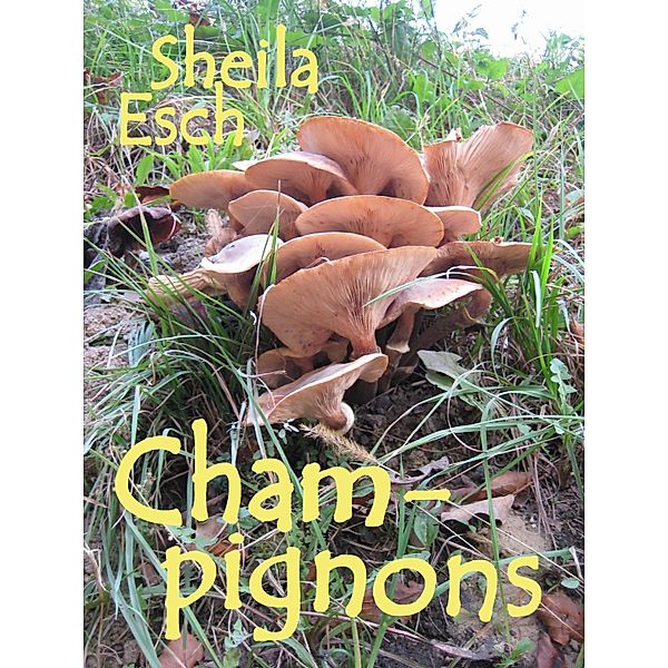 Champignons, Sheila Esch