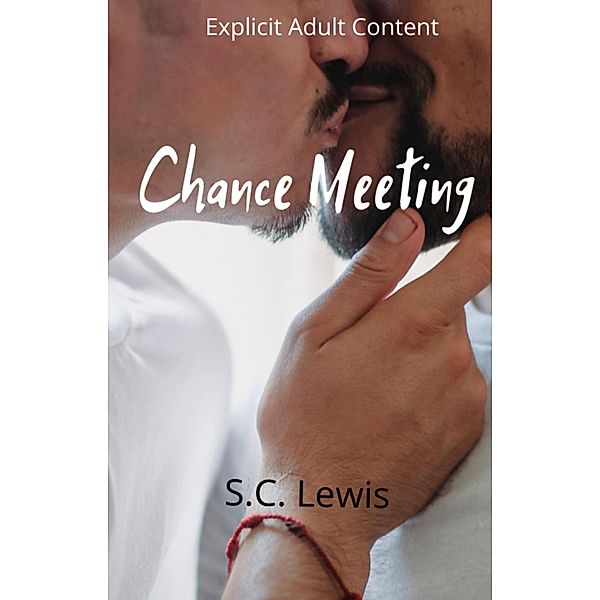 Chance Meeting, C. S Luis, S. C. Lewis