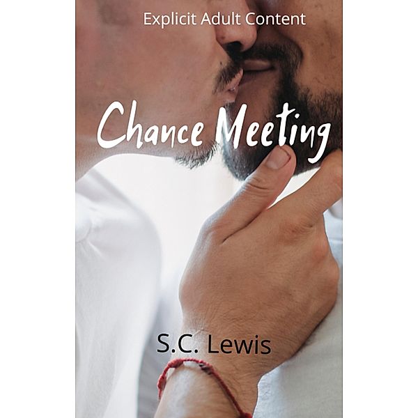 Chance Meeting, S. C Lewis