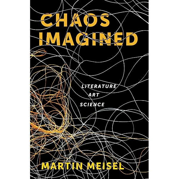 Chaos Imagined, Martin Meisel