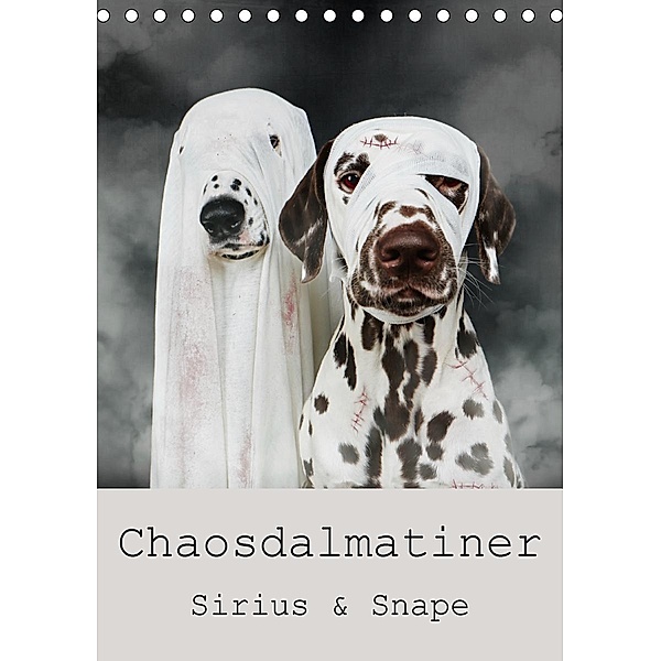 Chaosdalmatiner Sirius und Snape (Tischkalender 2020 DIN A5 hoch), Bea Burin-Herbst