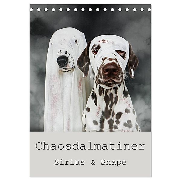 Chaosdalmatiner Sirius und Snape (Tischkalender 2024 DIN A5 hoch), CALVENDO Monatskalender, Bea Burin-Herbst