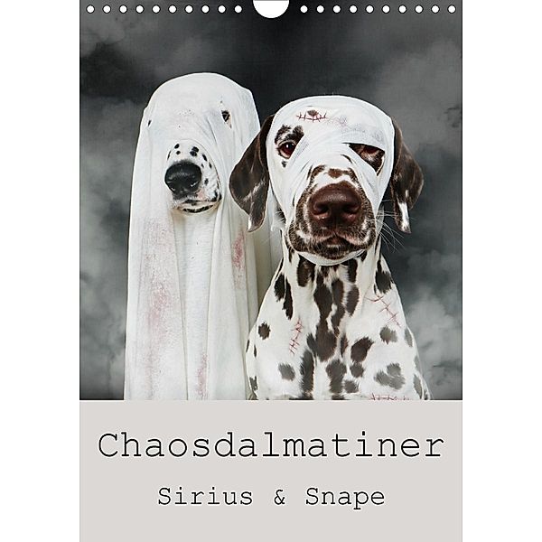 Chaosdalmatiner Sirius und Snape (Wandkalender 2020 DIN A4 hoch), Bea Burin-Herbst