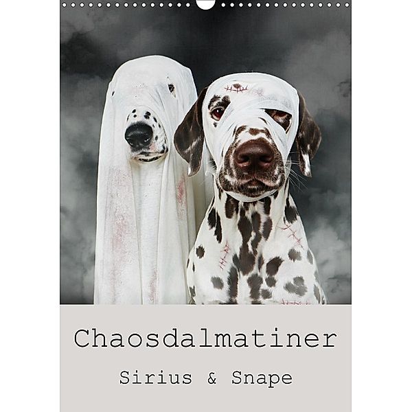 Chaosdalmatiner Sirius und Snape (Wandkalender 2020 DIN A3 hoch), Bea Burin-Herbst