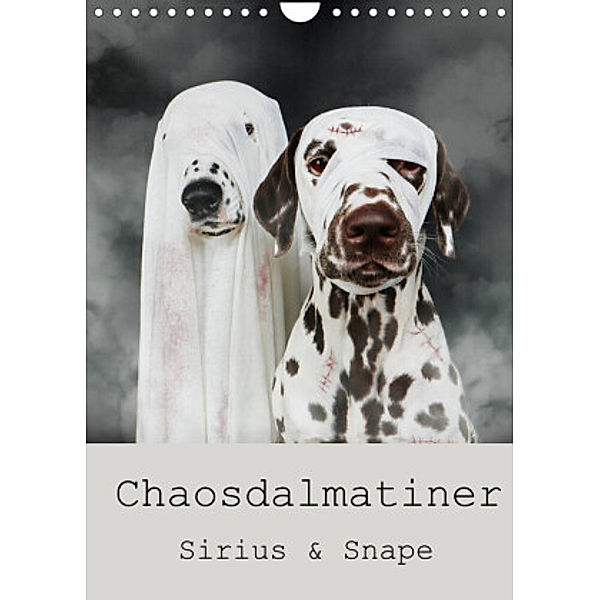 Chaosdalmatiner Sirius und Snape (Wandkalender 2022 DIN A4 hoch), Bea Burin-Herbst