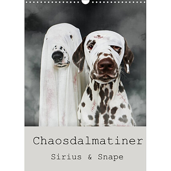 Chaosdalmatiner Sirius und Snape (Wandkalender 2022 DIN A3 hoch), Bea Burin-Herbst