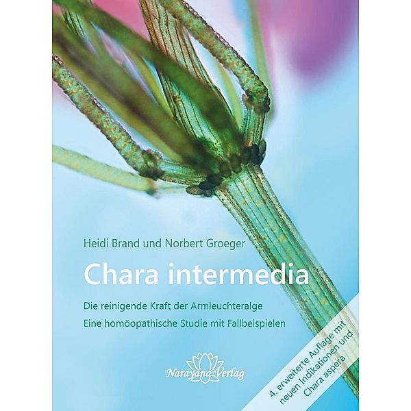 Chara intermedia, Heidi Brand, Norbert Groeger