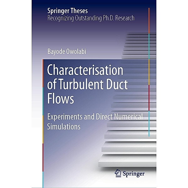 Characterisation of Turbulent Duct Flows / Springer Theses, Bayode Owolabi