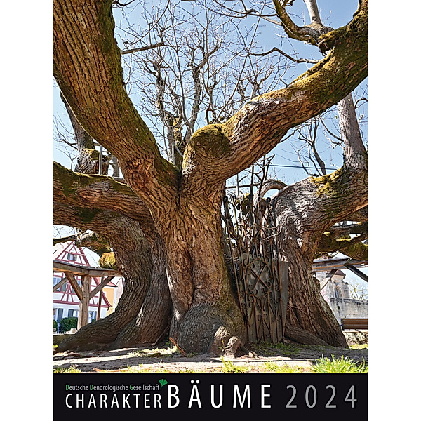 Charakter-Bäume 2024