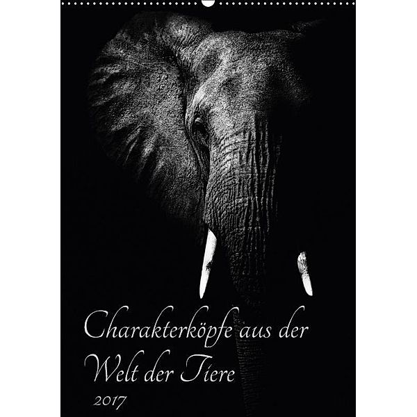 Charakterköpfe aus der Welt der Tiere (Wandkalender 2017 DIN A2 hoch), Kirsten Karius, Holger Karius