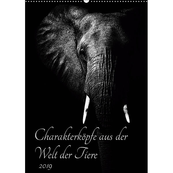 Charakterköpfe aus der Welt der Tiere (Wandkalender 2019 DIN A2 hoch), Kirsten Karius