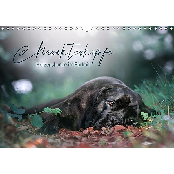Charakterköpfe - Herzenshunde im Portrait (Wandkalender 2021 DIN A4 quer), Saskia Katharina Siebel - Sensiebelfotografie