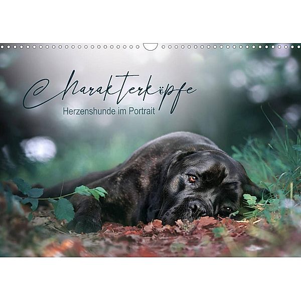 Charakterköpfe - Herzenshunde im Portrait (Wandkalender 2023 DIN A3 quer), Saskia Katharina Siebel - Sensiebelfotografie