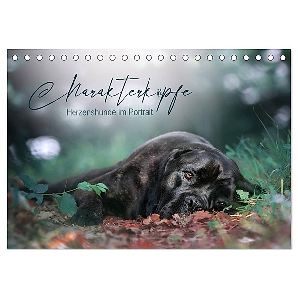 Charakterköpfe - Herzenshunde im Portrait (Tischkalender 2024 DIN A5 quer), CALVENDO Monatskalender, Saskia Katharina Siebel - Sensiebelfotografie