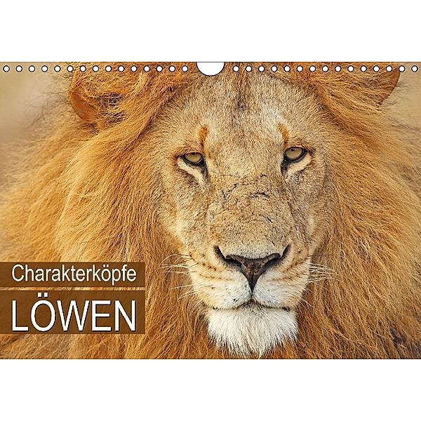 Charakterköpfe - Löwen (Wandkalender 2014 DIN A4 quer)