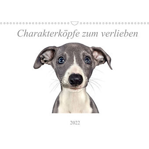 Charakterköpfe zum verlieben (Wandkalender 2022 DIN A3 quer), Nicola Kassat Fotografie