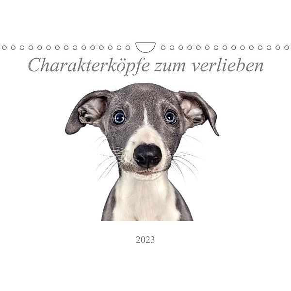 Charakterköpfe zum verlieben (Wandkalender 2023 DIN A4 quer), Nicola Kassat Fotografie