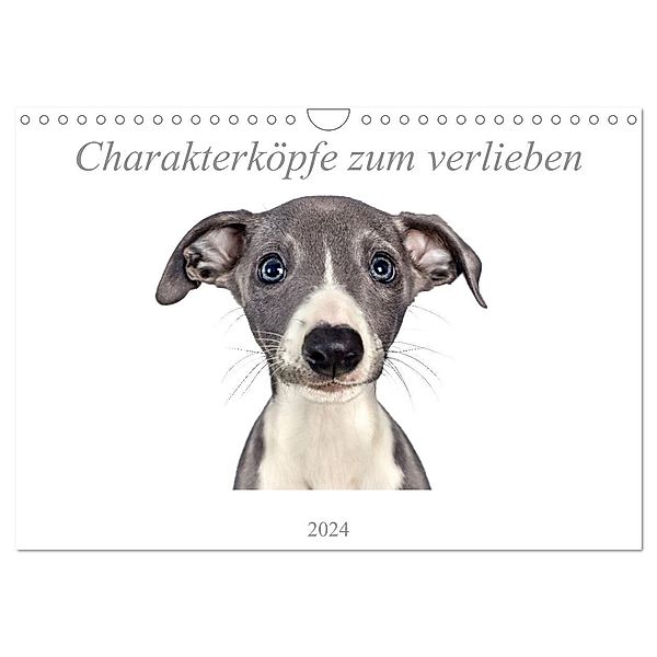 Charakterköpfe zum verlieben (Wandkalender 2024 DIN A4 quer), CALVENDO Monatskalender, Nicola Kassat Fotografie