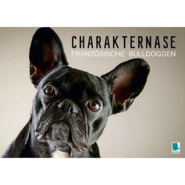 Charakternase: Französische Bulldoggen (Tischaufsteller DIN A5 quer), Calvendo