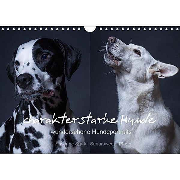 charakterstarke Hunde, wunderschöne Hundeportraits (Wandkalender 2019 DIN A4 quer), Susanne Stark