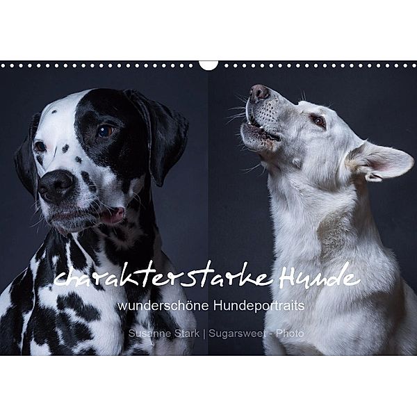 charakterstarke Hunde, wunderschöne Hundeportraits (Wandkalender 2021 DIN A3 quer), Susanne Stark Sugarsweet - Photo