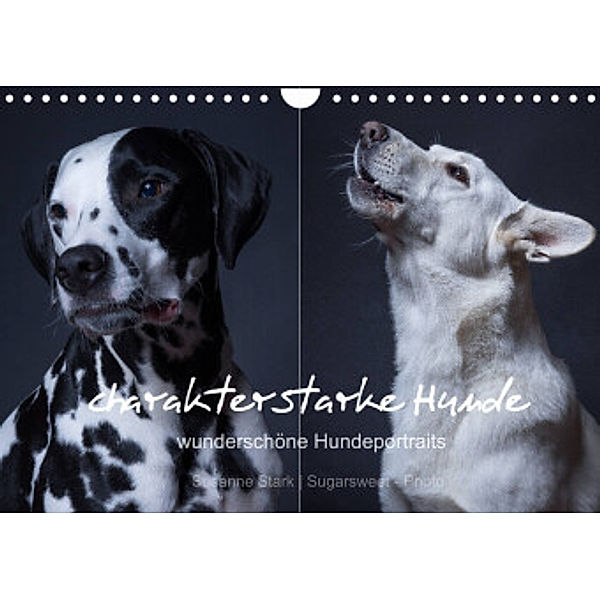 charakterstarke Hunde, wunderschöne Hundeportraits (Wandkalender 2022 DIN A4 quer), Susanne Stark  Sugarsweet - Photo