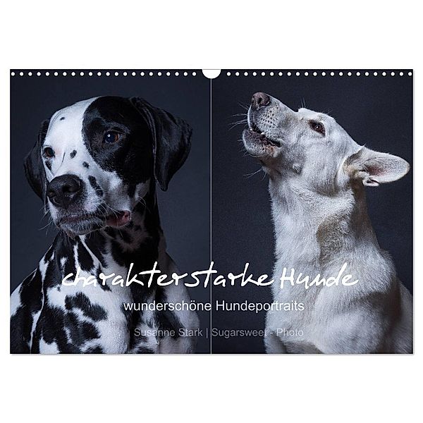 charakterstarke Hunde, wunderschöne Hundeportraits (Wandkalender 2024 DIN A3 quer), CALVENDO Monatskalender, Susanne Stark Sugarsweet - Photo