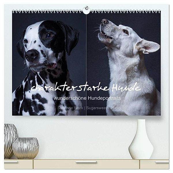 charakterstarke Hunde, wunderschöne Hundeportraits (hochwertiger Premium Wandkalender 2024 DIN A2 quer), Kunstdruck in Hochglanz, Susanne Stark Sugarsweet - Photo