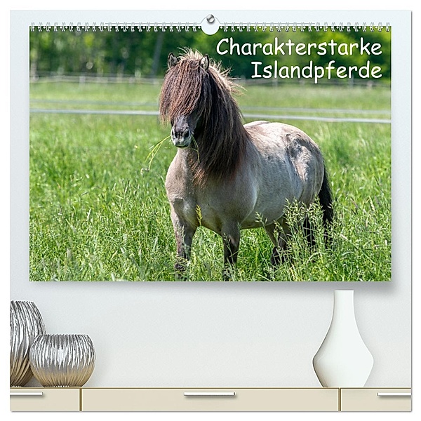 Charakterstarke Islandpferde (hochwertiger Premium Wandkalender 2025 DIN A2 quer), Kunstdruck in Hochglanz, Calvendo, Britta Berkenkamp