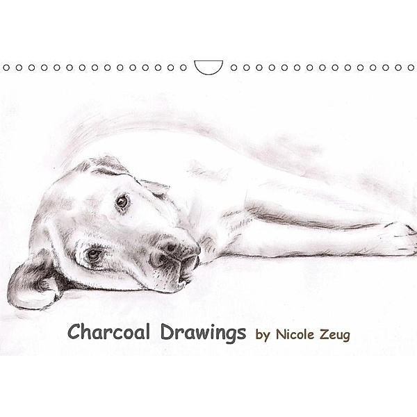 Charcoal Drawings (Wandkalender 2017 DIN A4 quer), Nicole Zeug