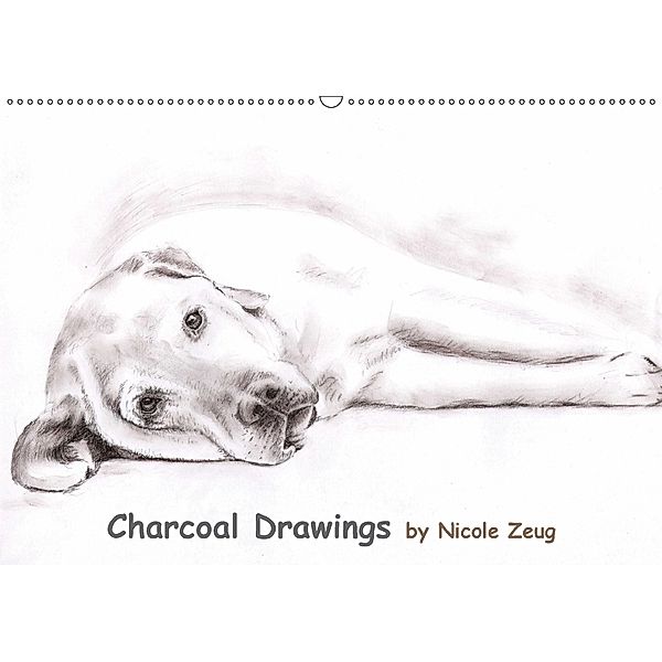Charcoal Drawings (Wandkalender 2018 DIN A2 quer), Nicole Zeug