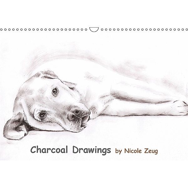 Charcoal Drawings (Wandkalender 2019 DIN A3 quer), Nicole Zeug