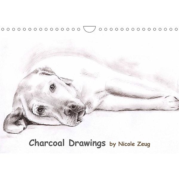 Charcoal Drawings (Wandkalender 2023 DIN A4 quer), Nicole Zeug