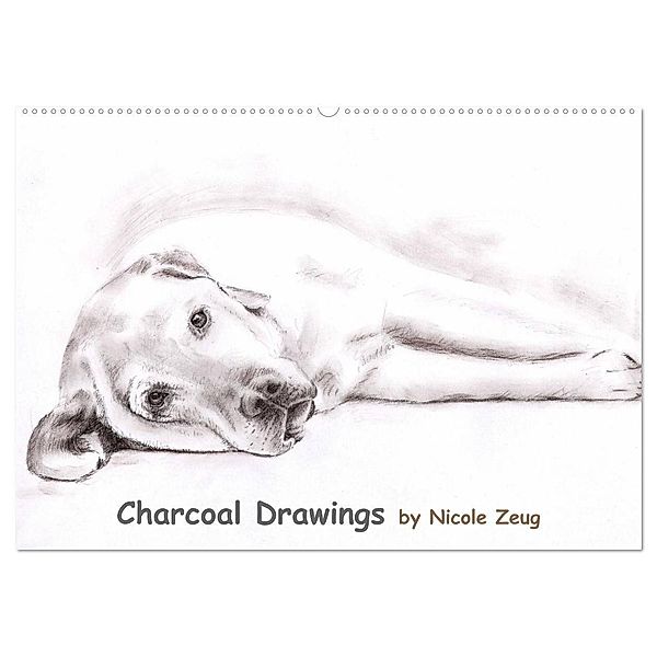 Charcoal Drawings (Wandkalender 2025 DIN A2 quer), CALVENDO Monatskalender, Calvendo, Nicole Zeug
