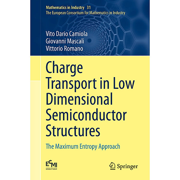 Charge Transport in Low Dimensional Semiconductor Structures, Vito Dario Camiola, Giovanni Mascali, Vittorio Romano