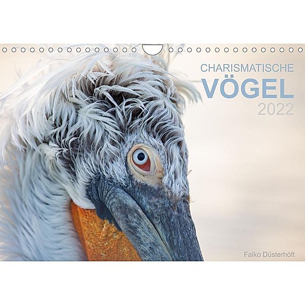 Charismatische Vögel (Wandkalender 2022 DIN A4 quer), Falko Düsterhöft