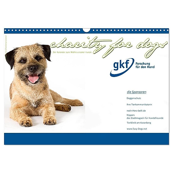 Charity for Dogs - der Kalender zum Wohle unserer Hunde (Wandkalender 2024 DIN A3 quer), CALVENDO Monatskalender, Hundeimpressionen