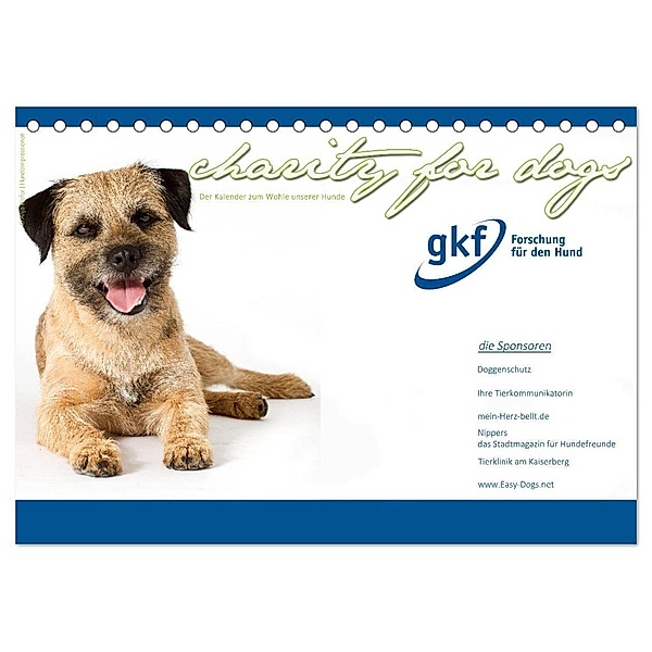 Charity for Dogs - der Kalender zum Wohle unserer Hunde (Tischkalender 2024 DIN A5 quer), CALVENDO Monatskalender, Hundeimpressionen