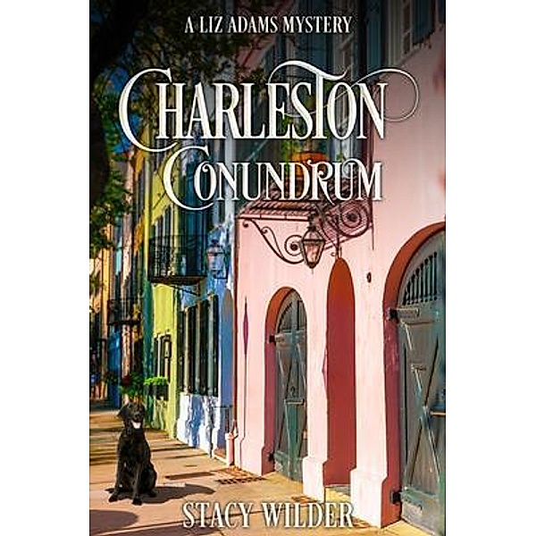 Charleston Conundrum / Wild Hawk Press, Stacy Wilder