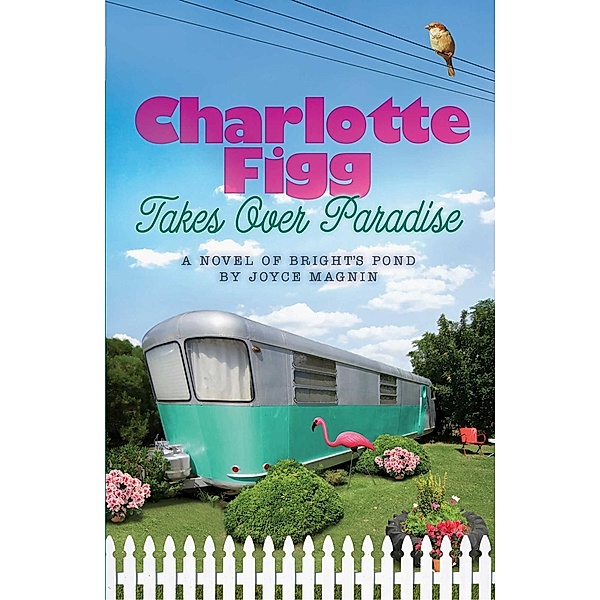 Charlotte Figg Takes Over Paradise / Abingdon Fiction, Joyce Magnin