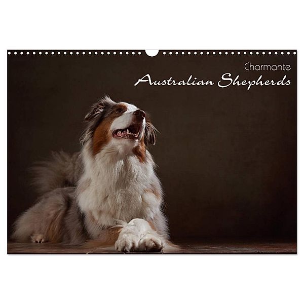 Charmante Australian Shepherds (Wandkalender 2024 DIN A3 quer), CALVENDO Monatskalender, Jana Behr