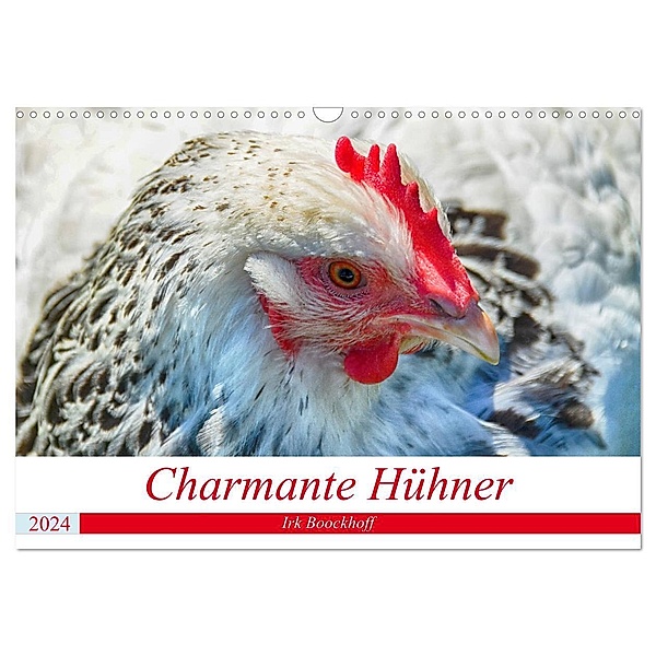 Charmante Hühner (Wandkalender 2024 DIN A3 quer), CALVENDO Monatskalender, Irk Boockhoff