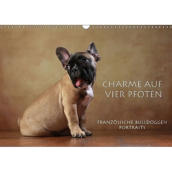 Charme auf vier Pfoten - Französische Bulldoggen Portraits (Wandkalender 2018 DIN A3 quer) Dieser erfolgreiche Kalender, Jana Behr