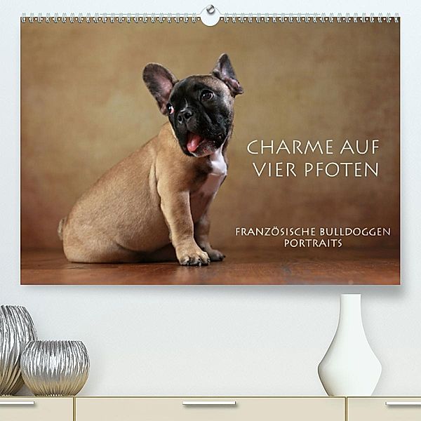 Charme auf vier Pfoten - Französische Bulldoggen Portraits (Premium-Kalender 2020 DIN A2 quer), Jana Behr