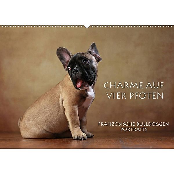 Charme auf vier Pfoten - Französische Bulldoggen Portraits (Wandkalender 2023 DIN A2 quer), Jana Behr