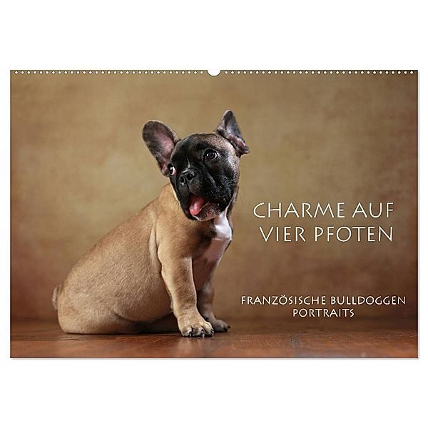 Charme auf vier Pfoten - Französische Bulldoggen Portraits (Wandkalender 2024 DIN A2 quer), CALVENDO Monatskalender, Jana Behr